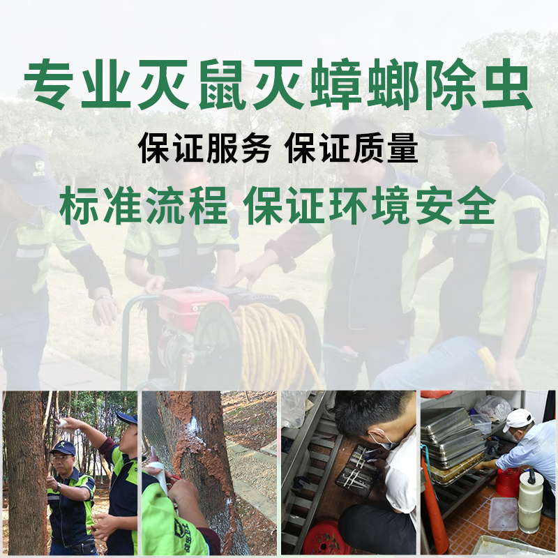 宿遷專業(yè)殺蟲(chóng).jpg