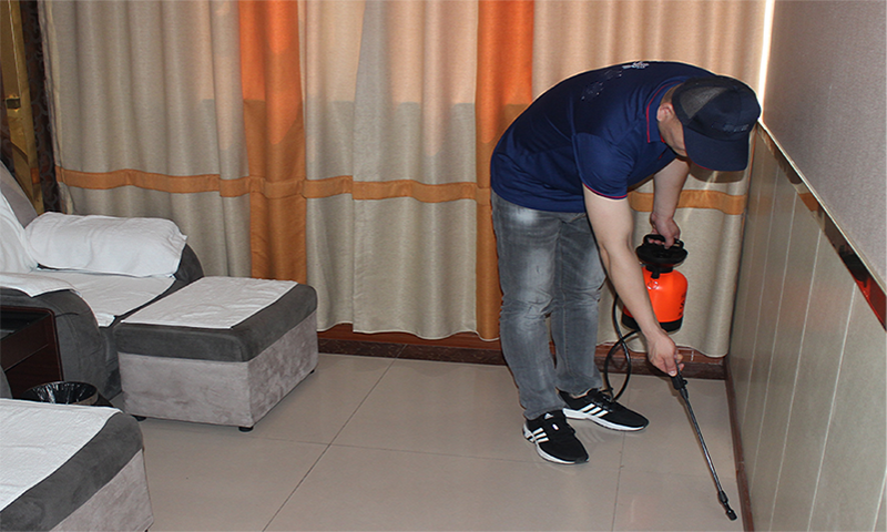 宿遷殺蟲公司.png 宿遷殺蟲公司.png