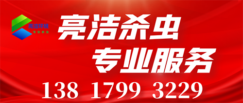 宿遷消殺服務.png 宿遷消殺服務.png