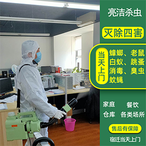 宿遷市亮潔環(huán)境服務(wù)有限公司為大型商場(chǎng)超市農(nóng)貿(mào)菜市場(chǎng)提出的殺蟲滅鼠解決方案