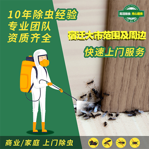 宿遷除甲醛公司服務(wù)一次多少錢誠信經(jīng)營服務(wù)全國