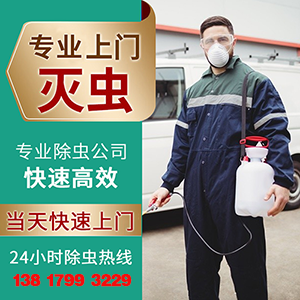 宿遷蟲(chóng)控消殺滅鼠